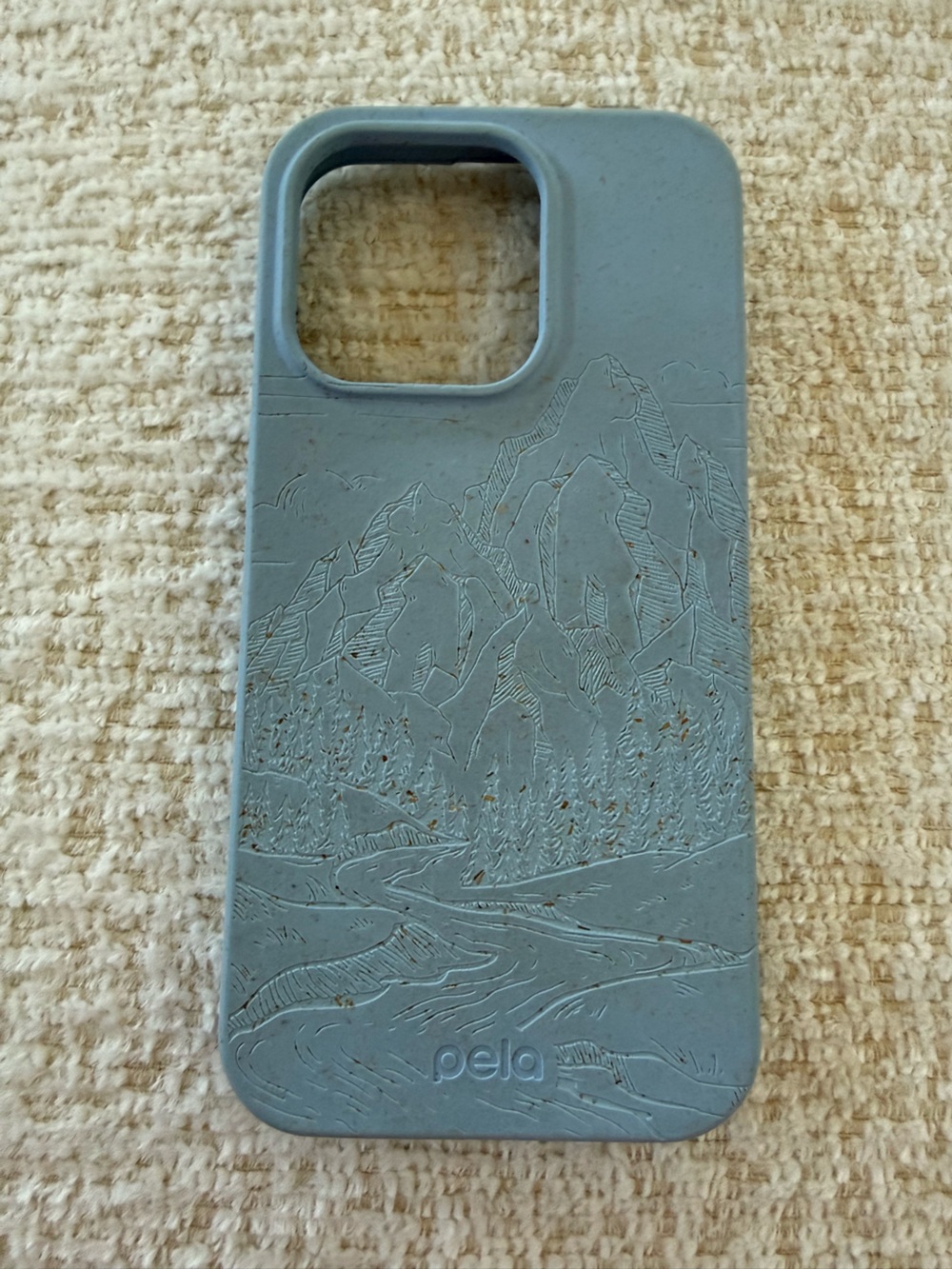 Pela iPhone 16 Pro case